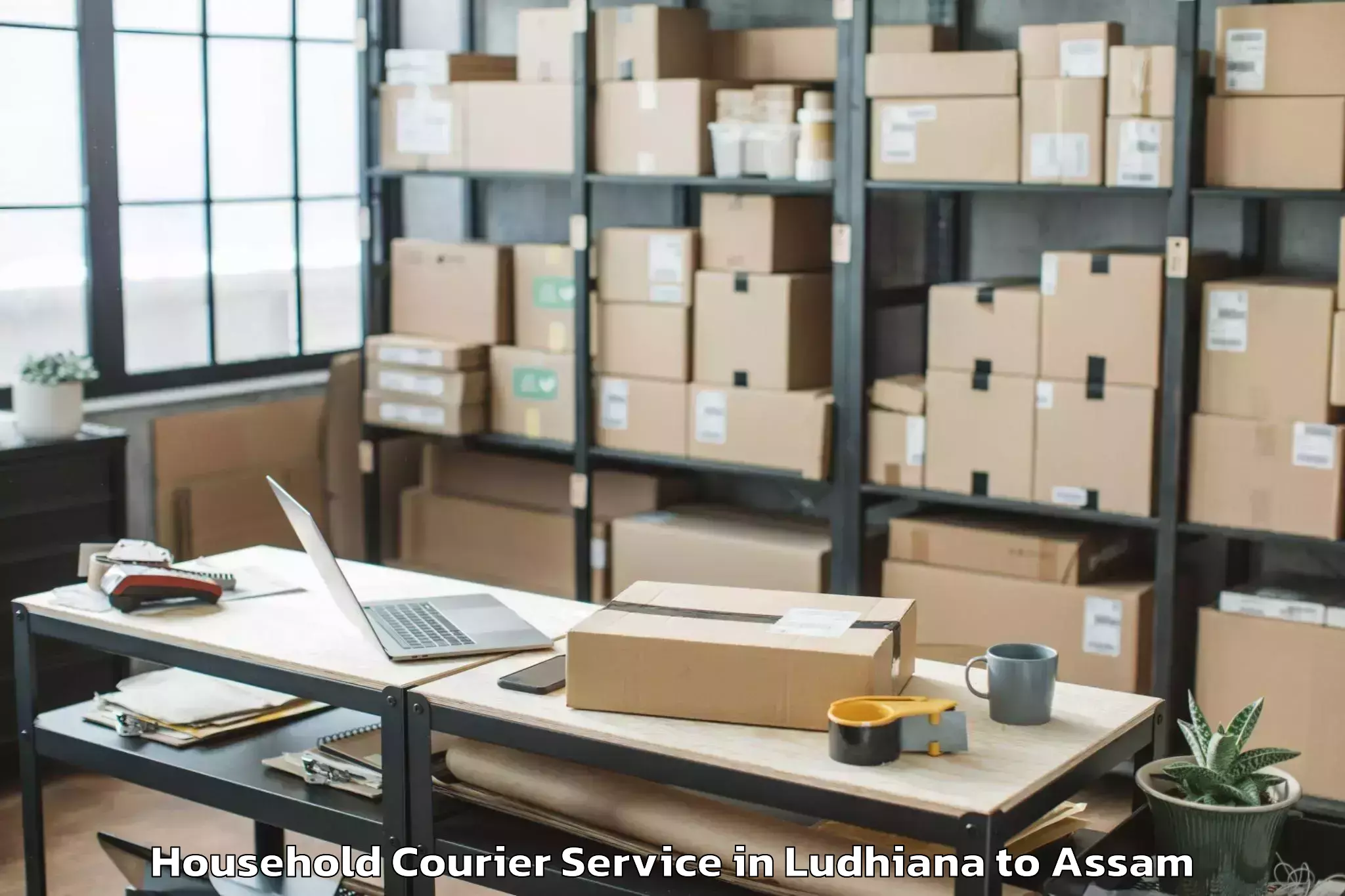 Trusted Ludhiana to Dergaon Household Courier